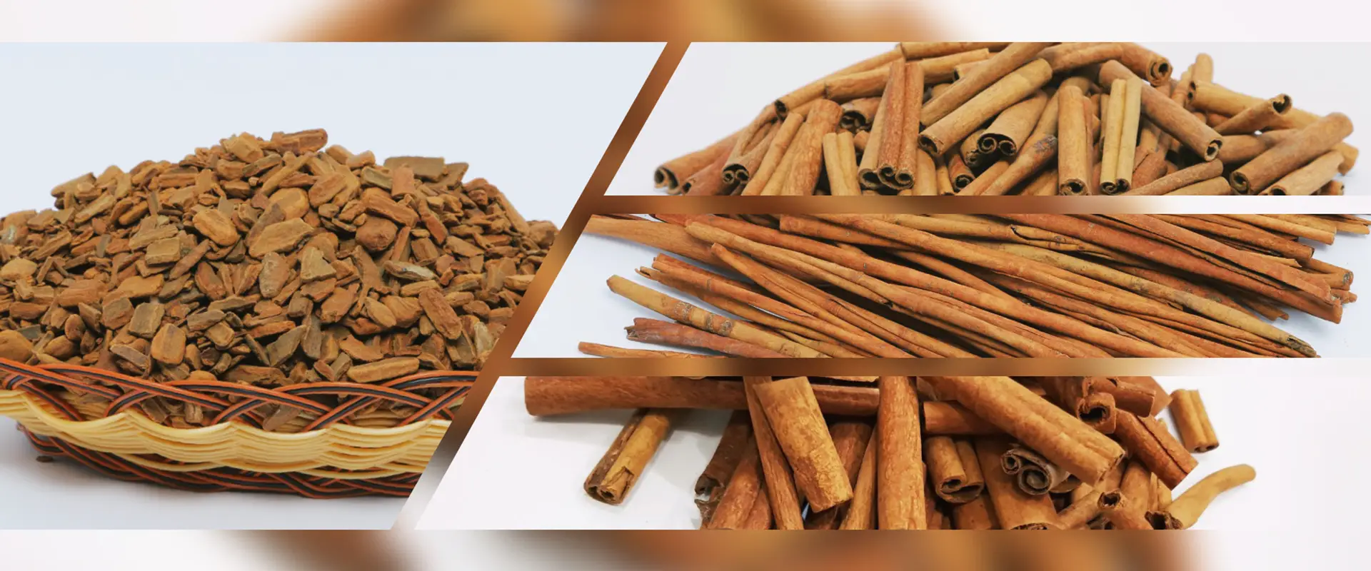 Exporter Of Indonesia Cinnamon Cassia Rempahsari