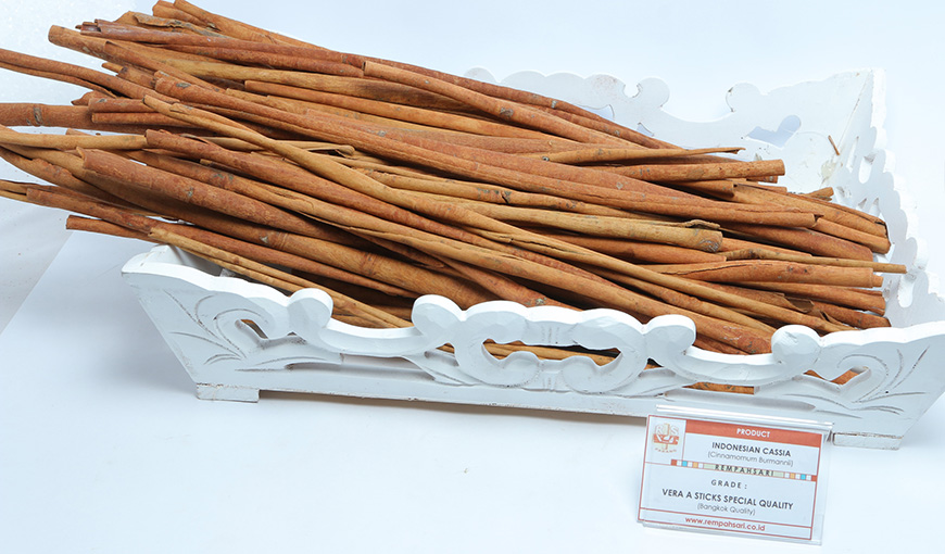 Cassia Long Sticks